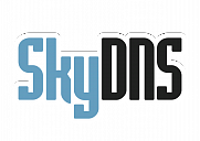 Выгодная акция от SkyDNS для менеджеров по продажам